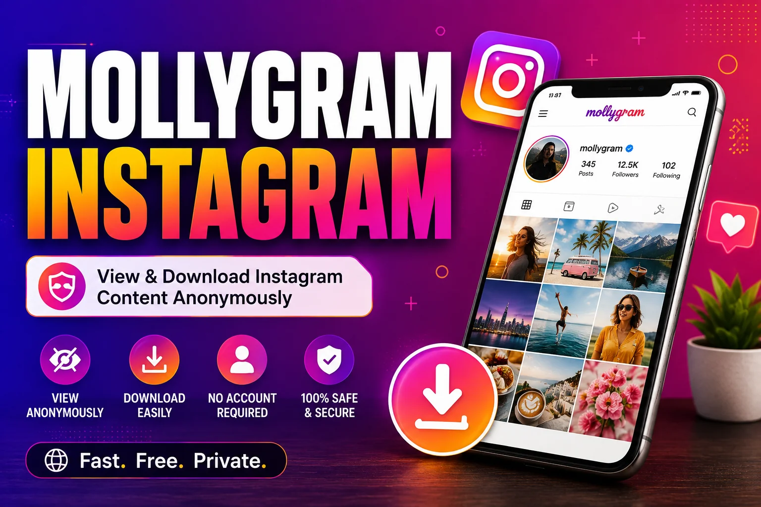 mollygram instagram